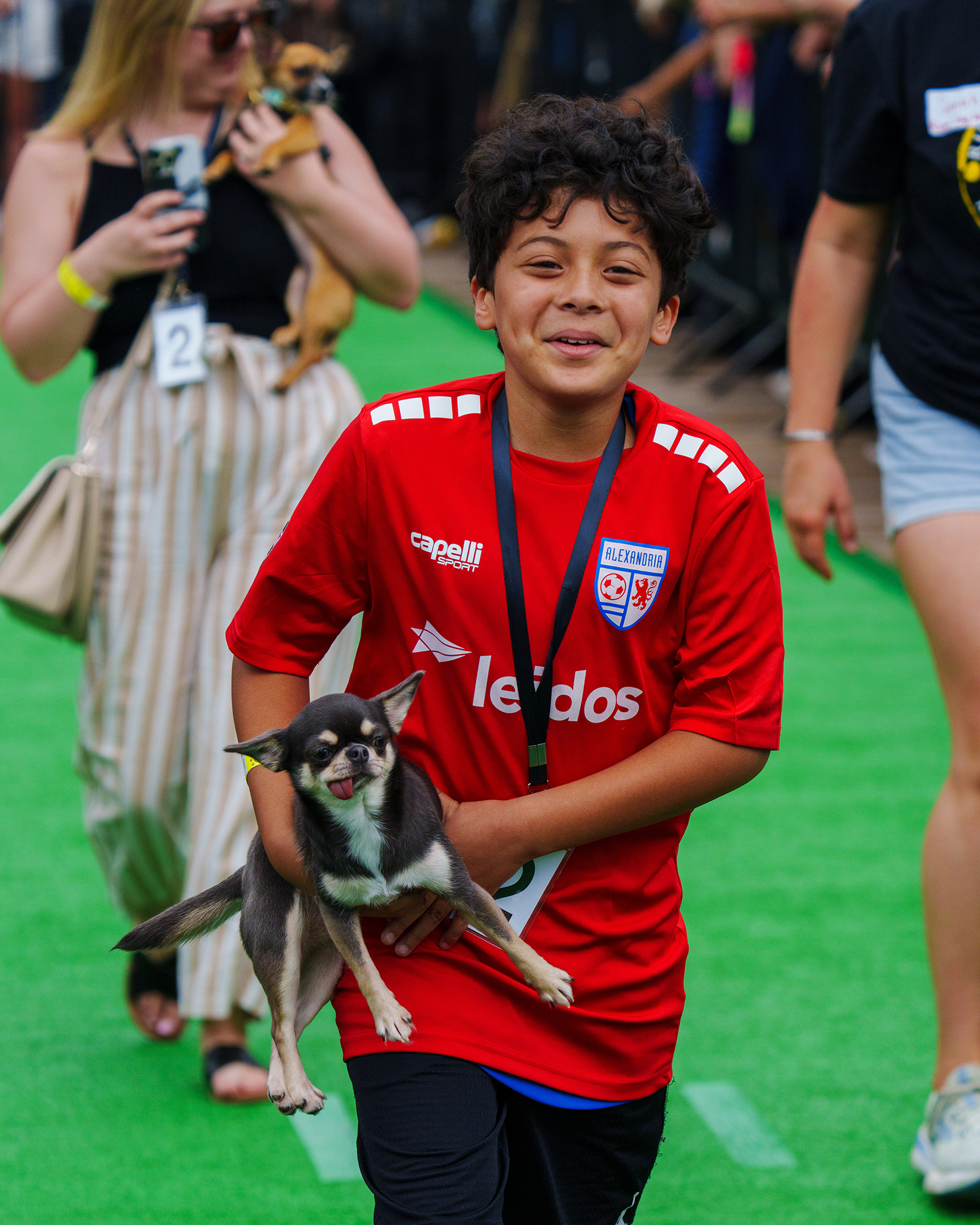 Happy Child with his Chihuahua